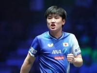 凯恩新星战术调整表现惊艳，快船未来可期！的简单介绍